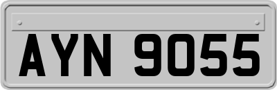 AYN9055
