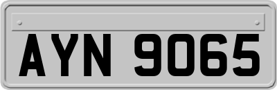 AYN9065