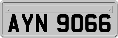 AYN9066