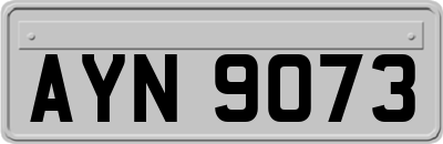 AYN9073