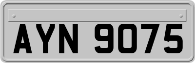 AYN9075