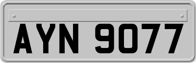 AYN9077