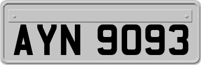 AYN9093