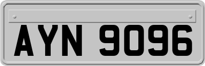 AYN9096