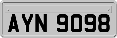 AYN9098