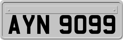 AYN9099