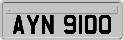 AYN9100