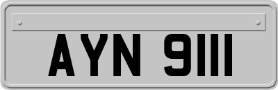 AYN9111