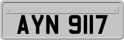 AYN9117