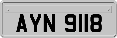 AYN9118