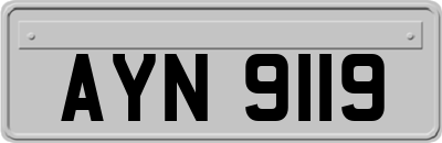 AYN9119