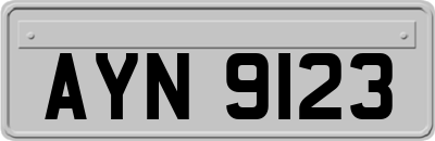 AYN9123