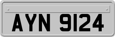 AYN9124