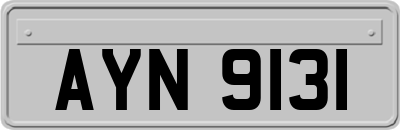 AYN9131