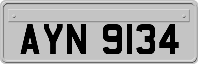 AYN9134