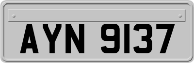 AYN9137