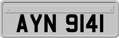 AYN9141