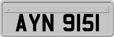 AYN9151