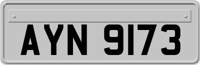 AYN9173