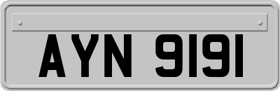 AYN9191