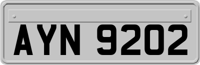 AYN9202