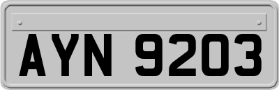 AYN9203