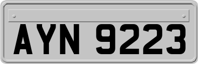 AYN9223