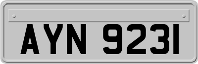 AYN9231