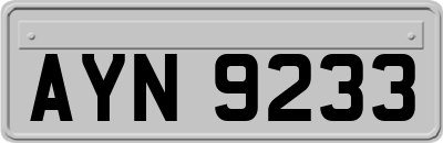 AYN9233