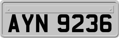 AYN9236