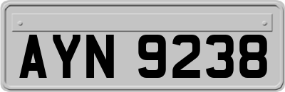 AYN9238