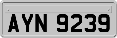 AYN9239