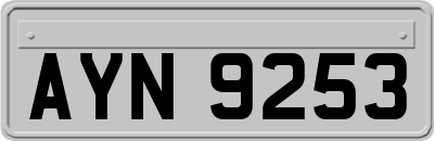 AYN9253