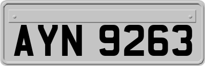 AYN9263