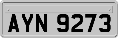 AYN9273
