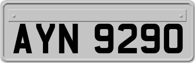 AYN9290