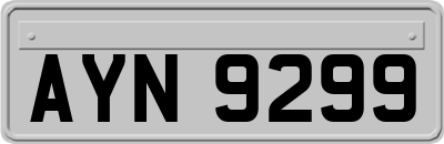AYN9299