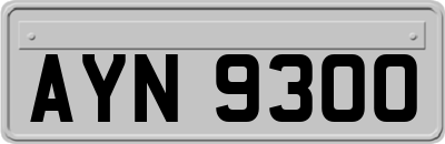 AYN9300