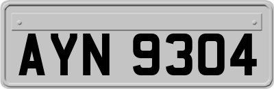 AYN9304