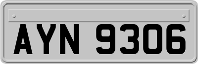 AYN9306