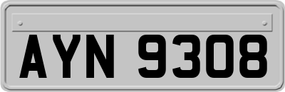 AYN9308