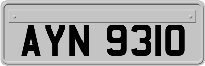 AYN9310