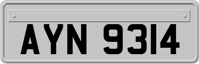 AYN9314