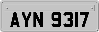 AYN9317