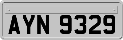 AYN9329