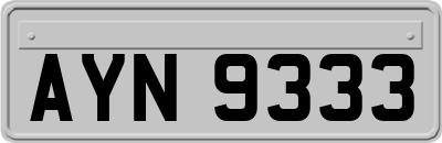AYN9333