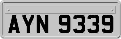 AYN9339