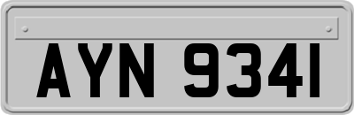 AYN9341