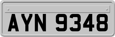 AYN9348