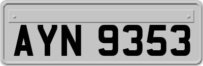 AYN9353